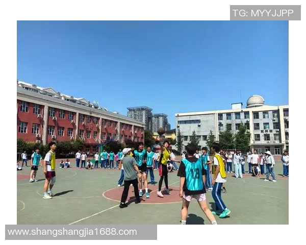 我是个篮球我在球场上飞翔追逐梦想的旅程与热血青春的故事 我是个篮球我在球场上飞翔追逐梦想的旅程与热血青春的故事