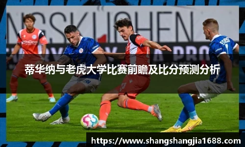 星空·综合体育中国官网